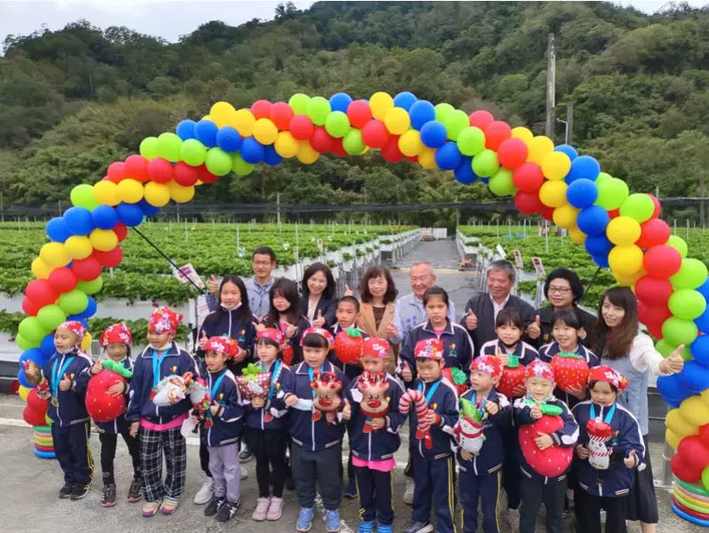 大湖地區農會在六合草莓集貨場舉行草莓上市記者會